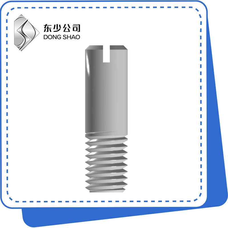 Slotted Headless Screw